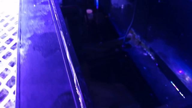 Innovative Marine Aquashield UV sterilizer review on SR series tank смотреть онлайн