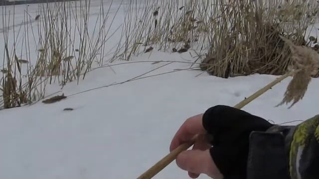 DIY Домик для пчёл или как повысить урожай | ЭНТОМОЛОГ from rus смотреть онлайн