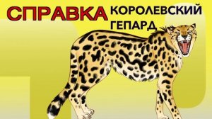 Lions&Co Maxxi (Львы и Ко Макси), ДеАгостини (DeAgostini), 2019, распаковка и видео-обзор