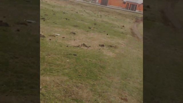 Вся история станицы Червлённая! Где что находилось и куда переносилась станица смотреть онлайн