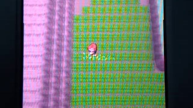 How to Chain in Pokemon Diamond/Pearl/Platinum!! смотреть онлайн