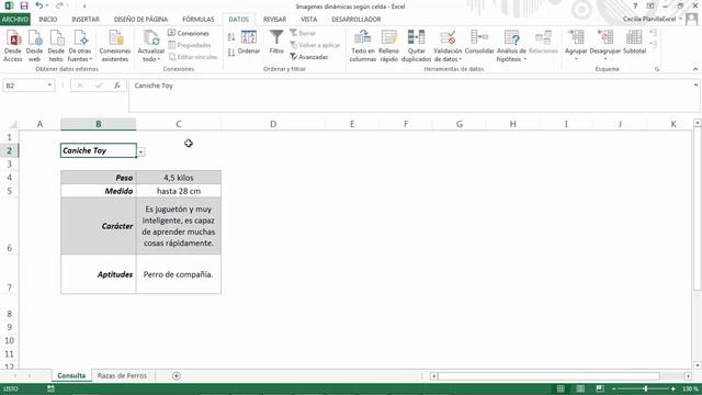 Cambiar una imagen a partir del valor de una celda en Excel смотреть онлайн