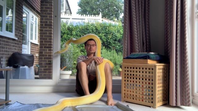 16ft Reticulated Python has no concept of personal space. смотреть онлайн