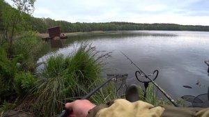 Большой лещ на фидер на озере!
