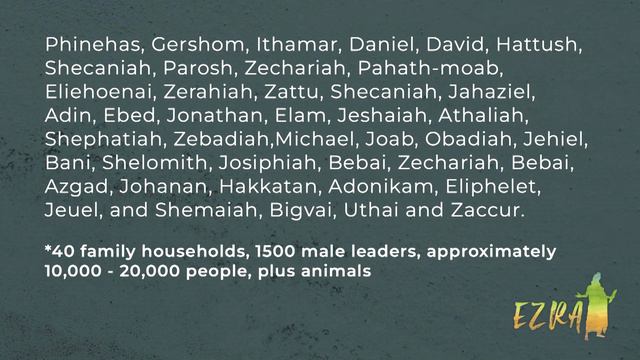 Provision and Protection смотреть онлайн