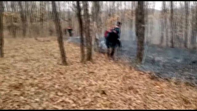 2017 04 13 МЧС тушат палы в Амурской области и оповещение дальнобойщиков смотреть онлайн