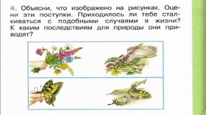 Окружающий мир. Рабочая тетрадь 1 класс 2 часть. ГДЗ стр. 31 №4