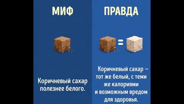 миф VS правда смотреть онлайн