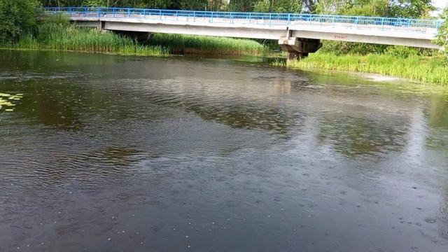 Поппер Лягушка! Сенсация с рынка Вышнего Волочка! смотреть онлайн