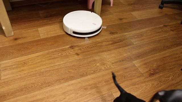 Ребята это супер пылесос... Mi Robot Vacuum- Mop Essential