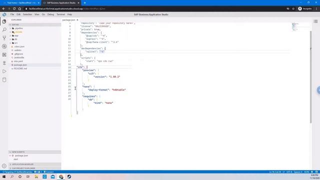 SAP TechEd 2020 DAT160: Exercise 1.2 Adjust package.json смотреть онлайн