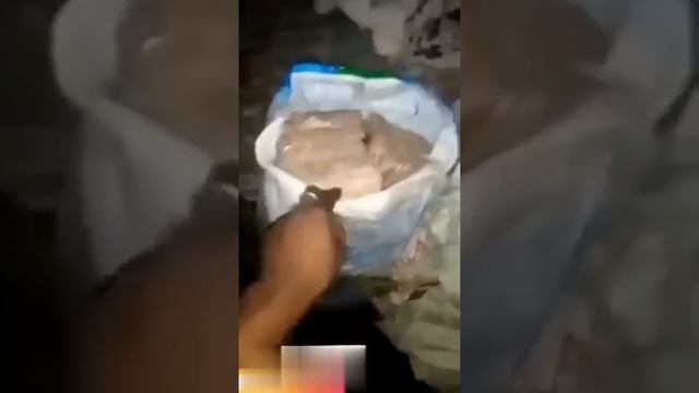 Another Hidden Millions Of Decayed And Rotten Naira Notes Discovered At A Private Residence.