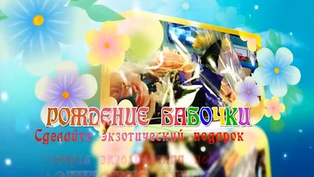 Д СЧАСТЛИВЫЙ ДЕНЬ агентство 1) смотреть онлайн