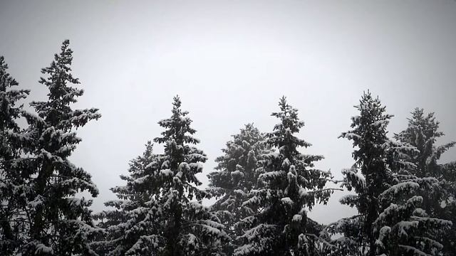 A Christmas Carol By Charles Dickens (subtitled)