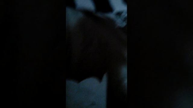 каталог клевер смотреть онлайн