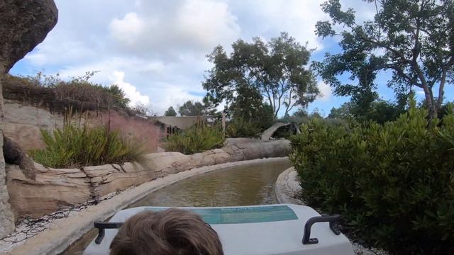 Zoo Miami. Kharlovs. Зоопарк Майами 07 11 2019 смотреть онлайн