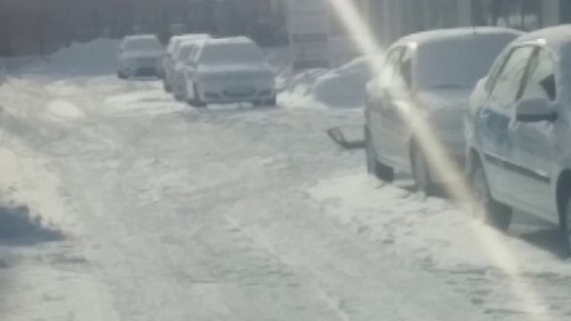 Снегоход Динго T150 смотреть онлайн