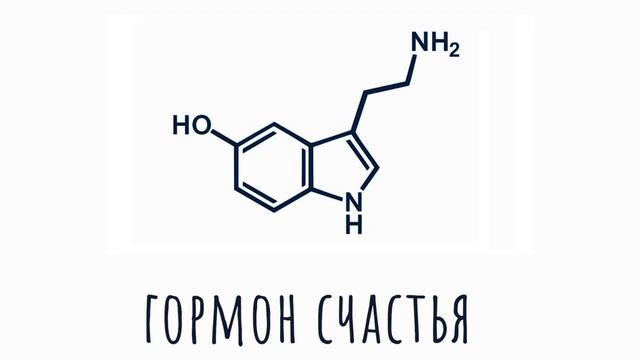 Почему мы так любим сладкое? смотреть онлайн