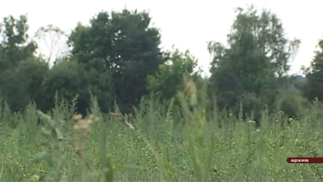 Герб Соболево в 8-ке лучших в Подмосковье смотреть онлайн