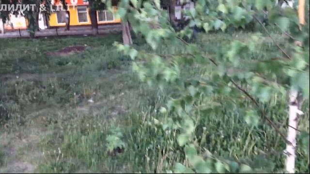 Воробей альфонс и лиса в небе;-) Екатеринбург смотреть онлайн