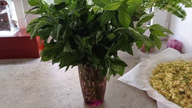 Садово-домашнее...Чем вы вдохновляетесь? смотреть онлайн