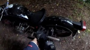 на мотоцикле днепр мт по лесу