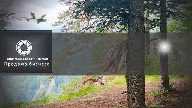 Продажа готового бизнеса, доли в бизнесе смотреть онлайн