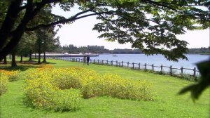 Пять пальцев 1 сезон 8 серия