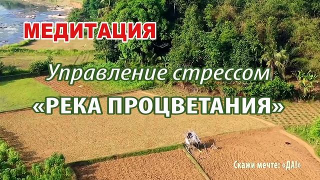 Медитация- Управление стрессом РЕКА ПРОЦВЕТАНИЯ смотреть онлайн