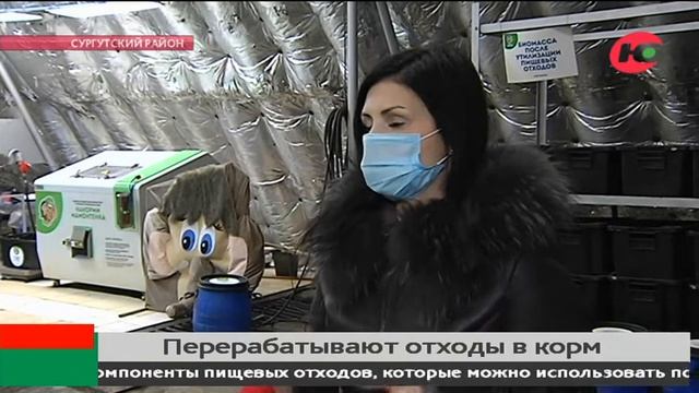 В Сургуте пищевые отходы «скармливают» «мамонтёнку»