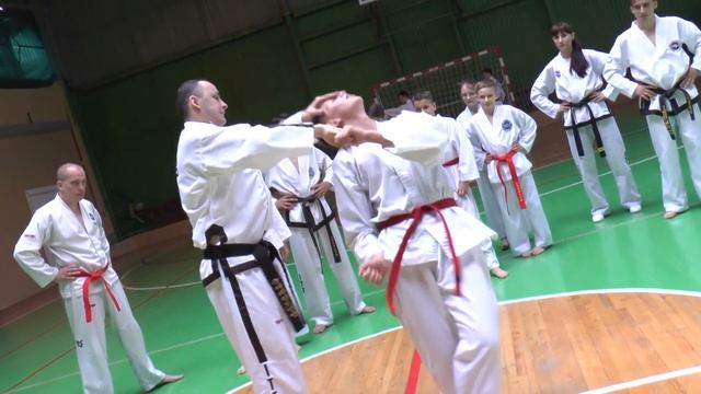 Огляд подій Івано-Франківського обласного осередку ВАС Таеквон-До І.Т.Ф. у 2018 році! смотреть онлайн