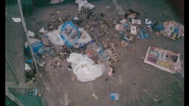 Акция МГЕР "Мой двор, мой подъезд" смотреть онлайн