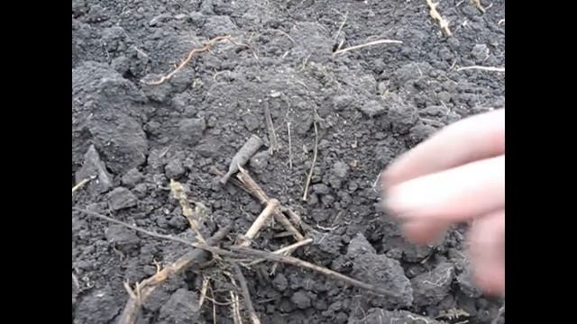 Рейд по деревенским огородам! Царский день или просто подфартило? смотреть онлайн