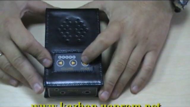 Защита от диктофонов AD-31 смотреть онлайн