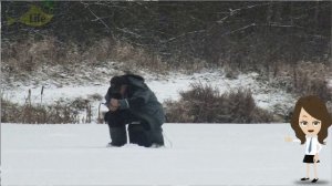 Как на что и где ловить чебака зимой? Секреты ловли чебака на рыбалке зимой!