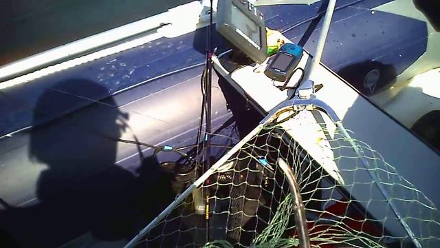 Команда "Nemo-Aiko".1-й этап, 2-ой тур. смотреть онлайн