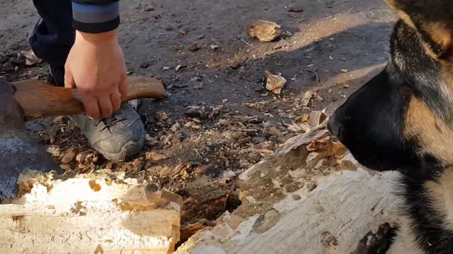 Добываем Протеин 🐛 / Getting Protein