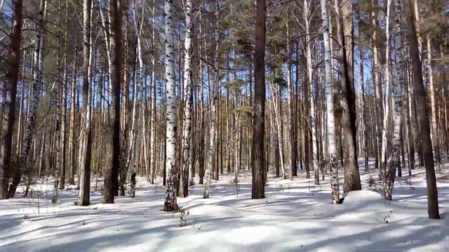 Совхозный, Екатеринбург, 27.03.2021 смотреть онлайн