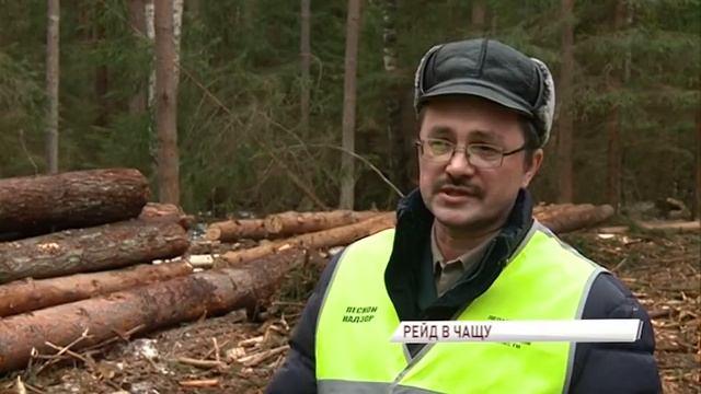 Мобильные бригады лесничих усилии контроль за лесами области смотреть онлайн