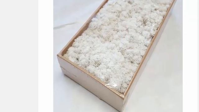 Высококачественный неувядающий искусственный мох, для дома, гостиной, декоративная стена. смотреть онлайн