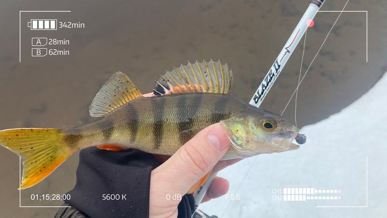 Norstream Blaze-2 632XUL. Микроджиг среди льда смотреть онлайн