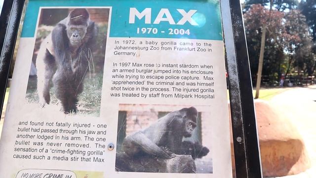 A Day At The Johannesburg Zoo | Flight Attendant Life смотреть онлайн