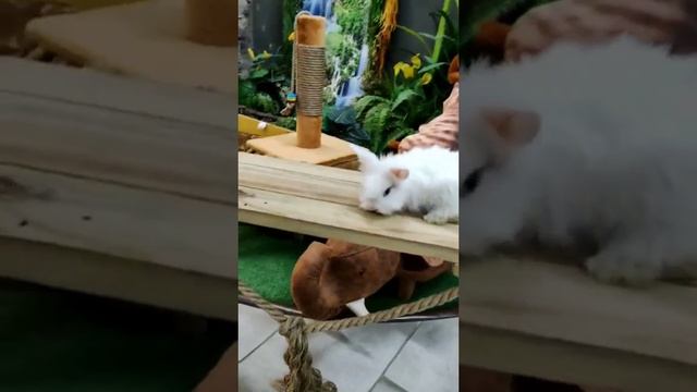 Отвлеклись и улыбнись!