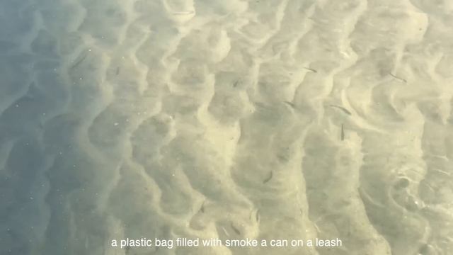 макулатура — 30 лет как мертв / makulatura — been dead for 30 years (sub) смотреть онлайн