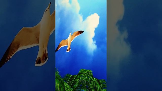 фото печать натяжных ппотолков небо смотреть онлайн