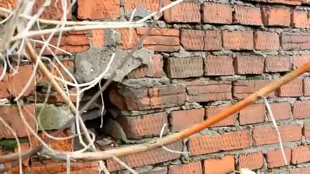 Тест-драйв ЛуАЗ 969М смотреть онлайн