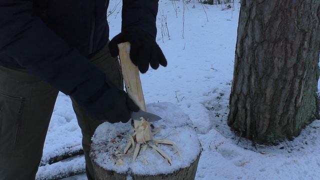 Нож PALMISTRY Zh KNIVES. Уличный тест