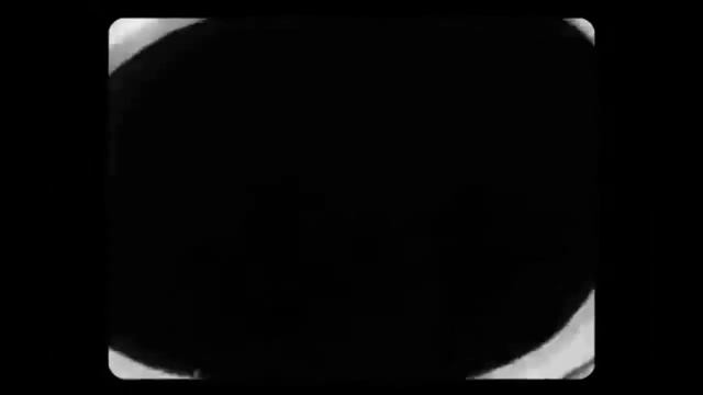 Cartoon Fun: SWALLOWING THE CAMERA!