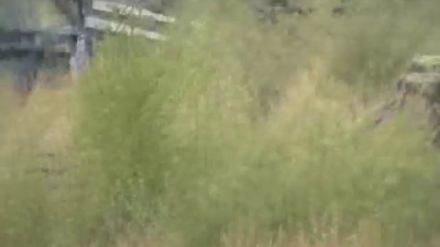 Ягодное 2010 №1.wmv смотреть онлайн