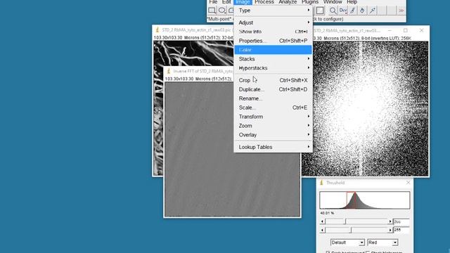 Using Fast Fourier Transforms (FFTs) in ImageJ смотреть онлайн